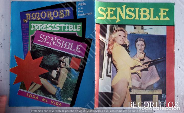 C&oacute;mics: sensible fotonovela - Foto 1