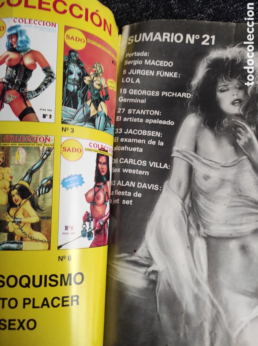 C&oacute;mics: HOT COMIX N&ordm; 21 ( COMIC EROTICO ) - Foto 2