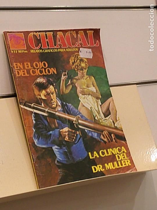 Comics: RELATOS GRAFICOS PARA ADULTOS CHACAL N&ordm; 37 EN EL OJO DEL CICLON - ZINCO