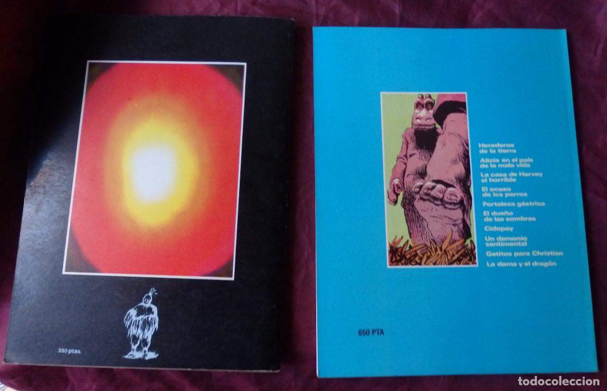 C&oacute;mics: 2 COMICS DE RICHARD CORBEN - Foto 2