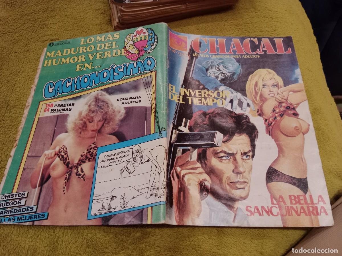 Comics: CHACAL N&ordm;45 EL INVIERNO DEL TIEMPO - RELATOS GRAFICOS PARA ADULTOS - EDICIONES ZINCO