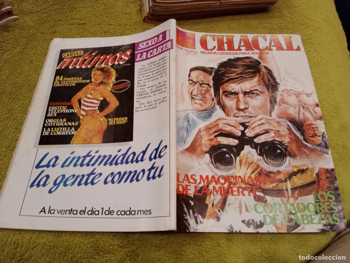 Comics: CHACAL N&ordm;47 LOS CORTADORES DE CABEZAS- RELATOS GRAFICOS PARA ADULTOS - EDICIONES ZINCO
