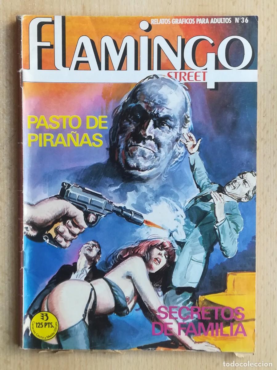 Comics: Flamingo Street N&ordm; 36. Pasto de pira&ntilde;a / Secretos de familia. Relatos gr&aacute;ficos para adultos.