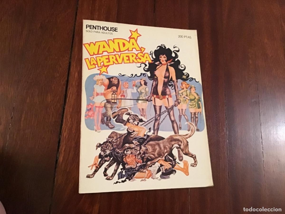 C&oacute;mics: Wanda la perversa penthouse - Foto 1
