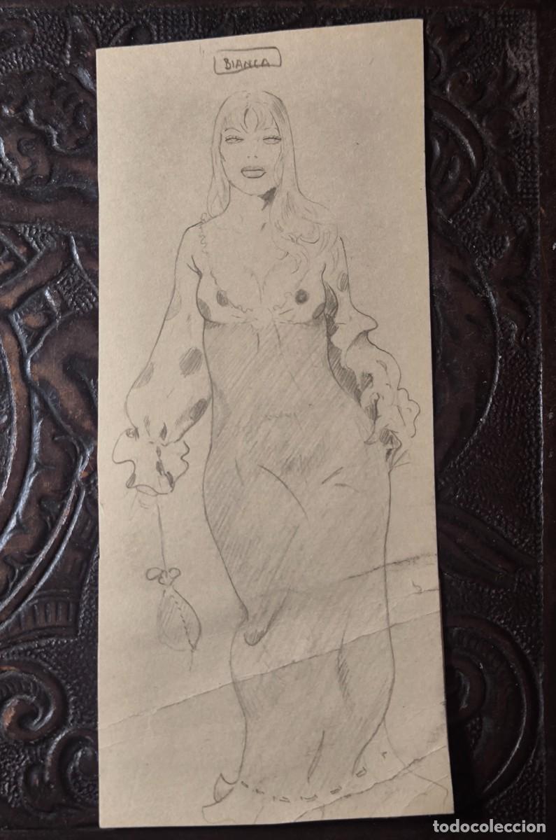 Comics: ILUSTRACI&Oacute;N DIBUJO A L&Aacute;PIZ. Boceto Trabajo. C&oacute;mic pulp horror er&oacute;tico. Escuela Valenciana A&ntilde;os 60/70