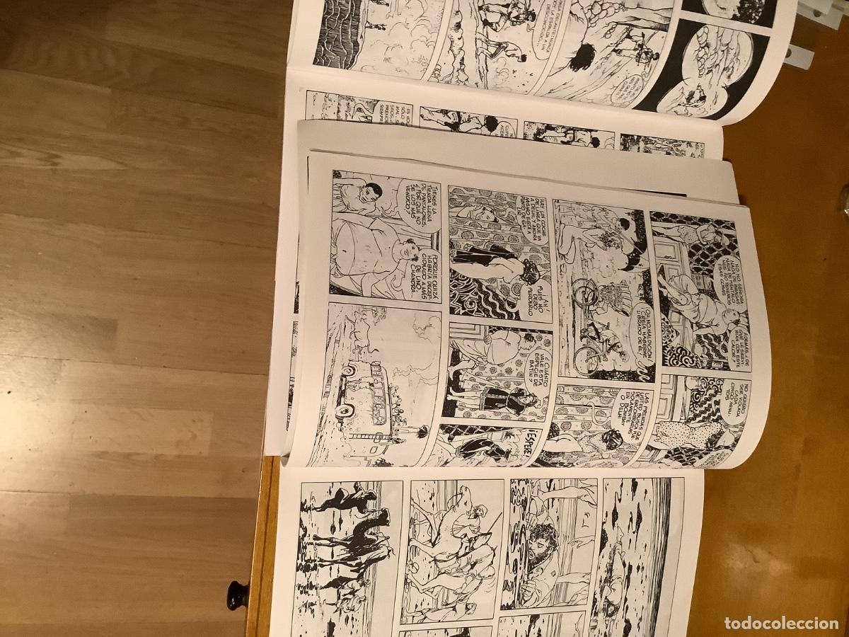 C&oacute;mics: Comics. Adultos.De Manara - Foto 4