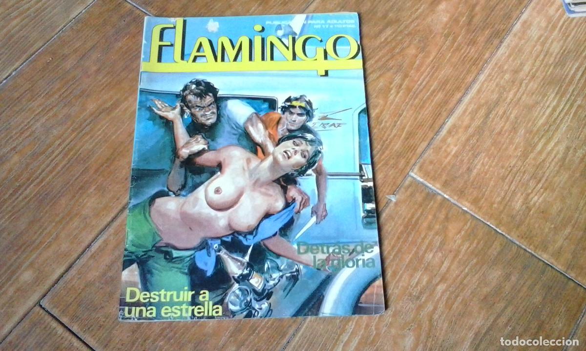 C&oacute;mics: FLAMINGO N&ordm; 17 RELATOS GR&Aacute;FICOS PARA ADULTOS