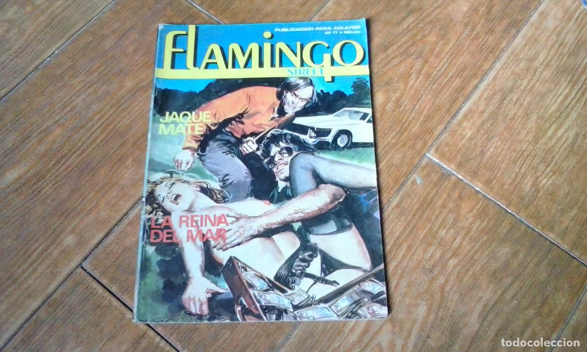 C&oacute;mics: FLAMINGO N&ordm; 11 RELATOS GR&Aacute;FICOS PARA ADULTOS