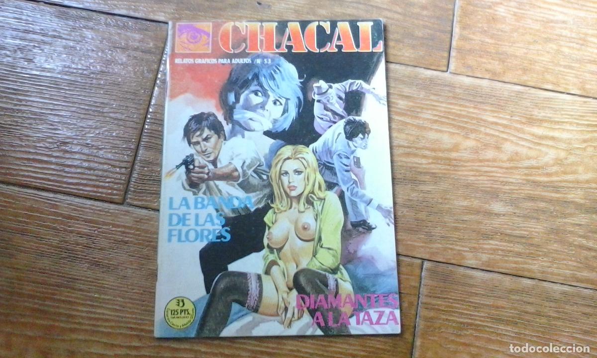 Comics: CHACAL- N&ordm; 53 RELATOS GR&Aacute;FICOS PARA ADULTOS