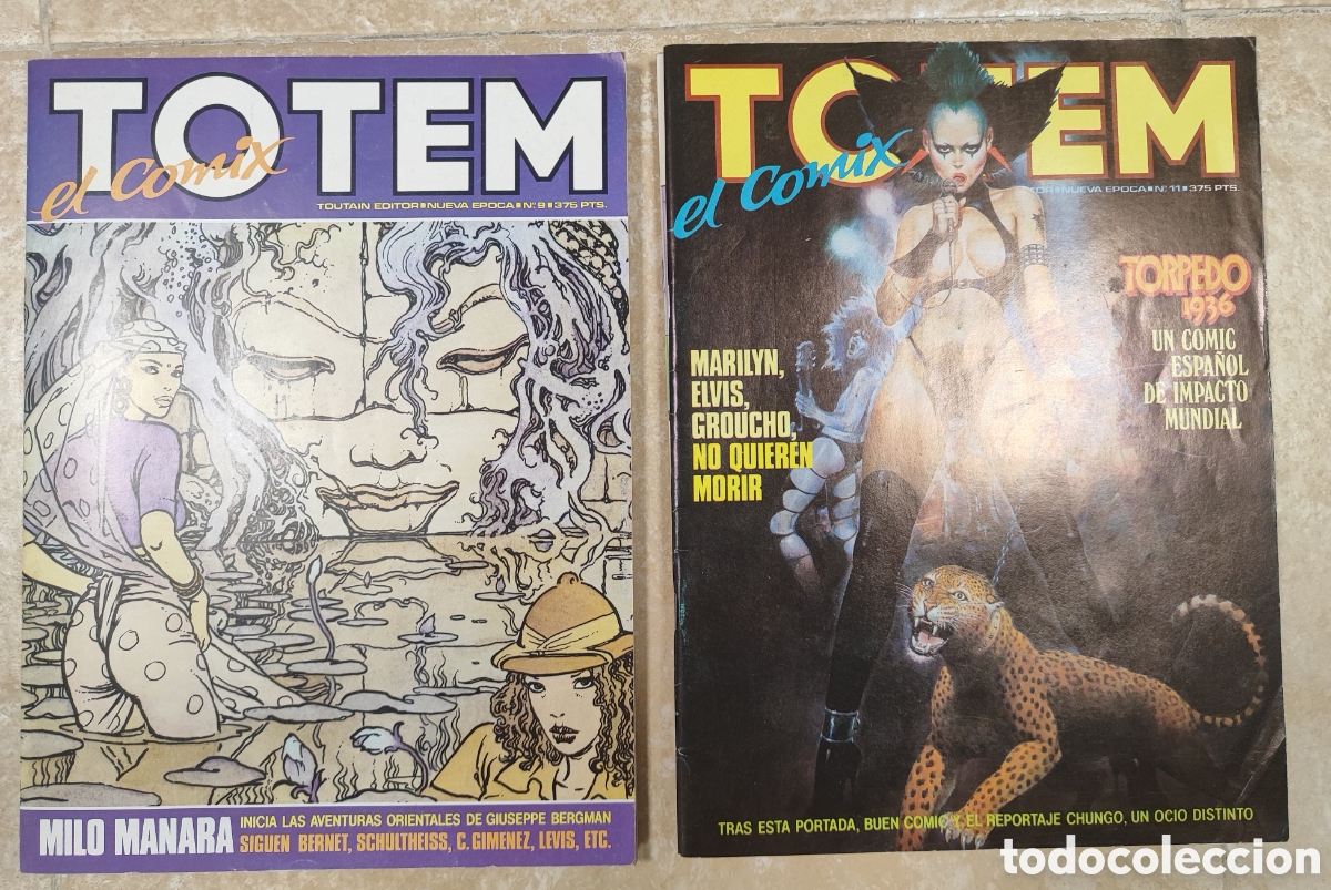 C&oacute;mics: C&oacute;lecci&oacute;n TOTEM, el comix (67 n&uacute;meros) - Foto 3