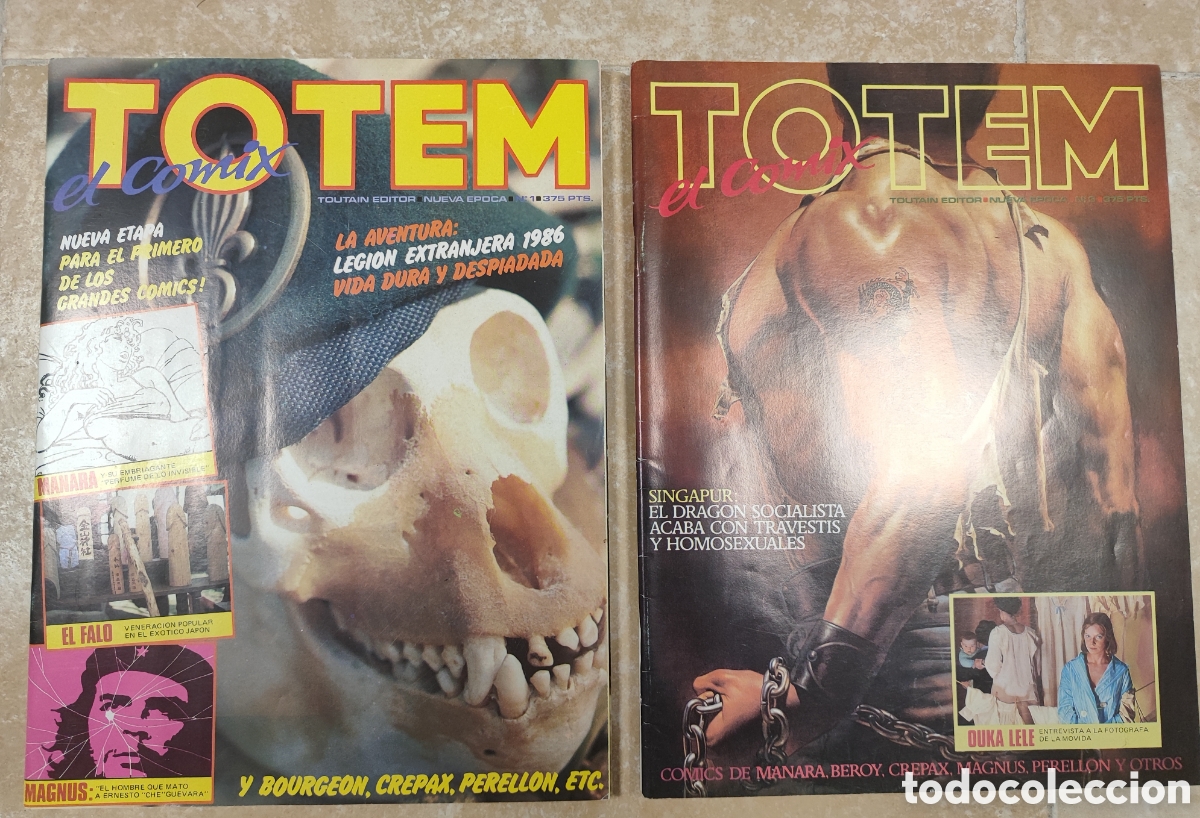C&oacute;mics: C&oacute;lecci&oacute;n TOTEM, el comix (67 n&uacute;meros) - Foto 1