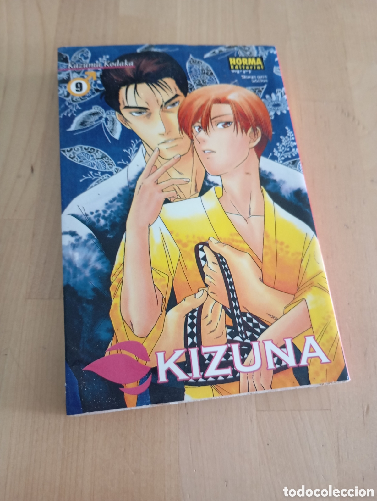 Comics: Kizuna n&deg; 9 Norma Editorial 2003 Manga Adultos Gay