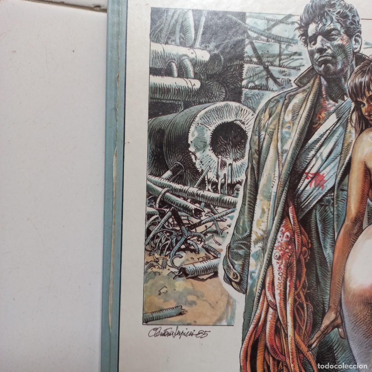 C&oacute;mics: Morbus Gravis. Serpieri. Dargaud 1986. EO - Foto 6