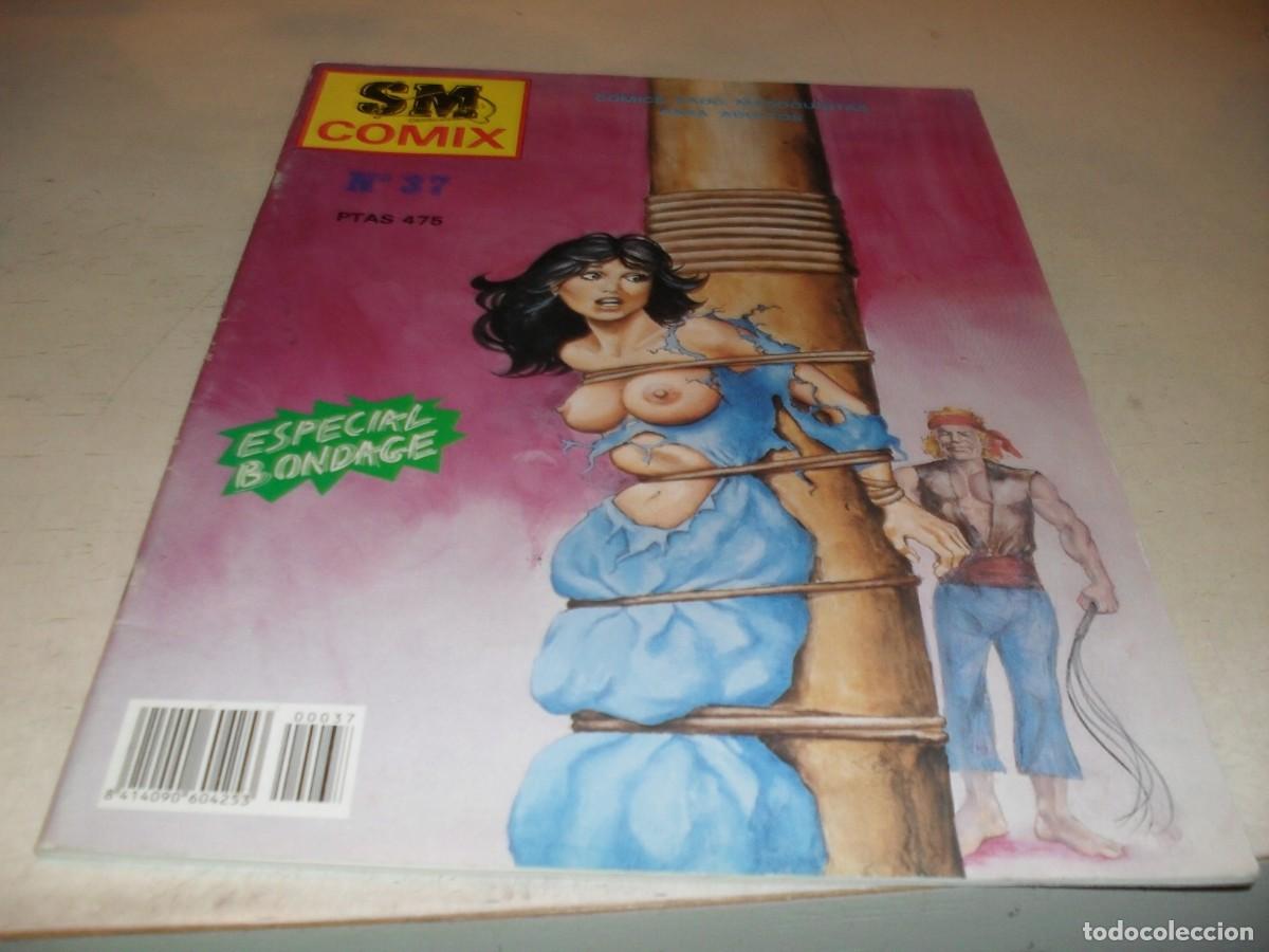 Comics : SM COMIX N&ordm; 37,de 38,CON HISTORIETA DE,PROBABLEMENTE,STEVE DIKTO,SUGERIDO PARA ADULTOS,CARTON,1991