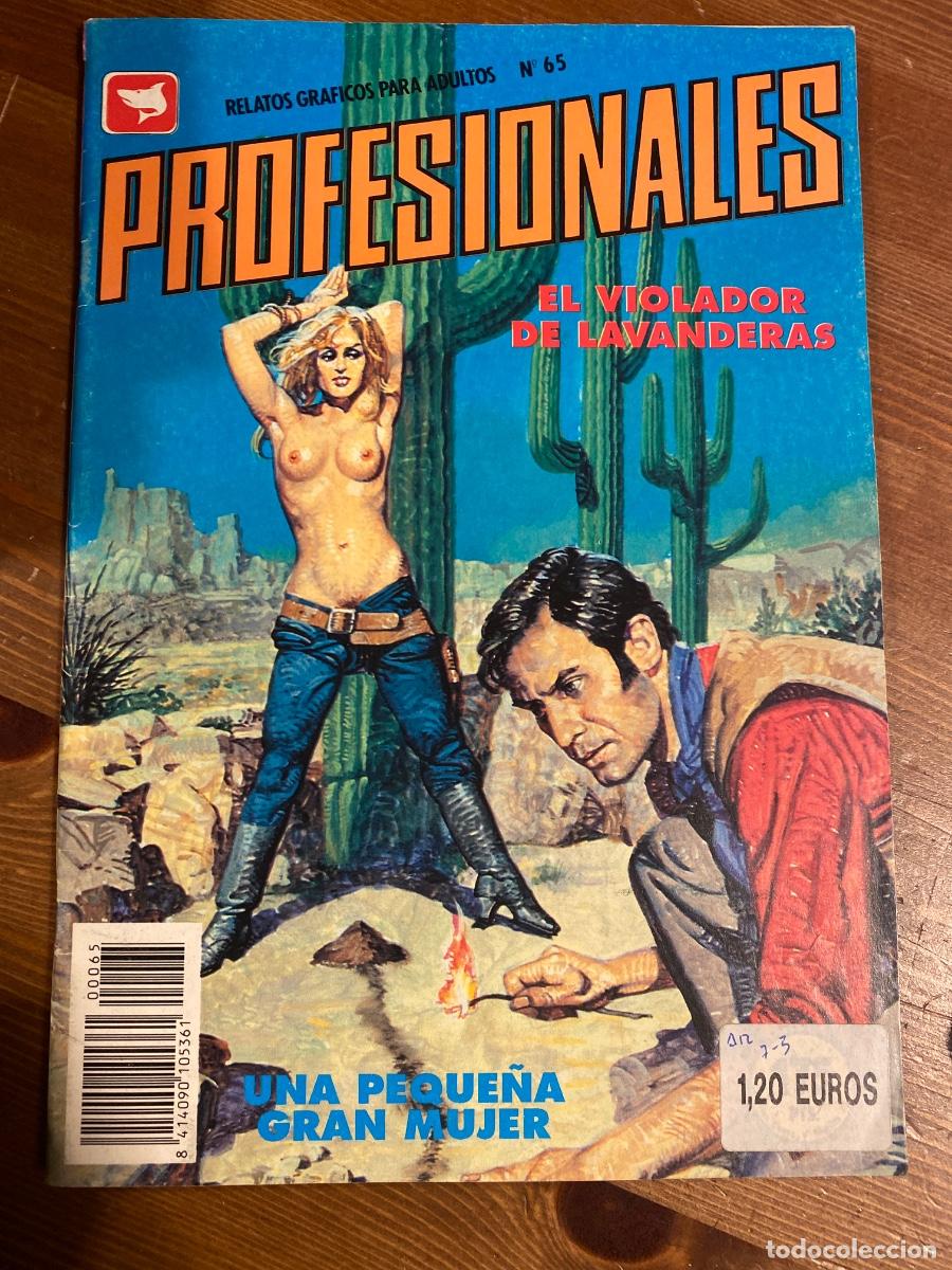 C&oacute;mics: LAS PROFESIONALES N&ordm; 65 RELATOS GRAFICOS PARA ADULTOS ZINCO COMICS