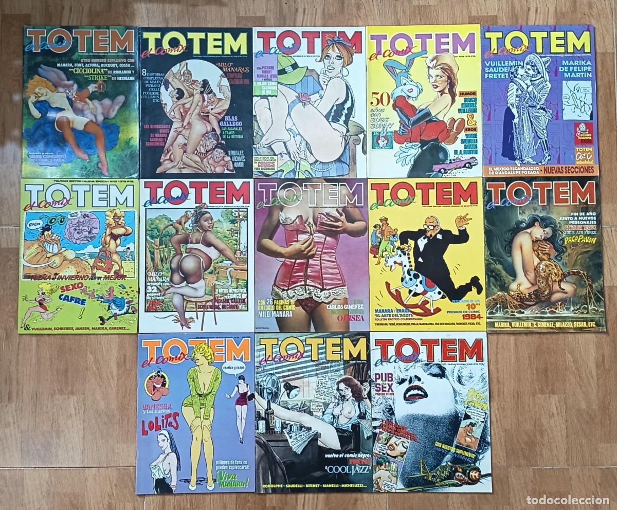 C&oacute;mics: Lote 12 T&oacute;tem El Comix