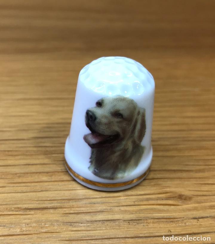 Coleccionismo de dedales: Dedal de porcelana con cabeza de perro - Foto 1