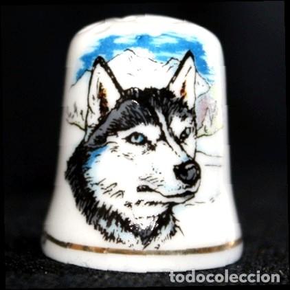 Coleccionismo de dedales: Dedal porcelana - perro Husky - Foto 1