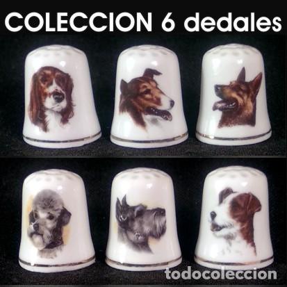 Collectionnisme de d&eacute;s &agrave; coudre: DEDAL PORCELANA - PERROS (Colecci&oacute;n de 6 dedales)