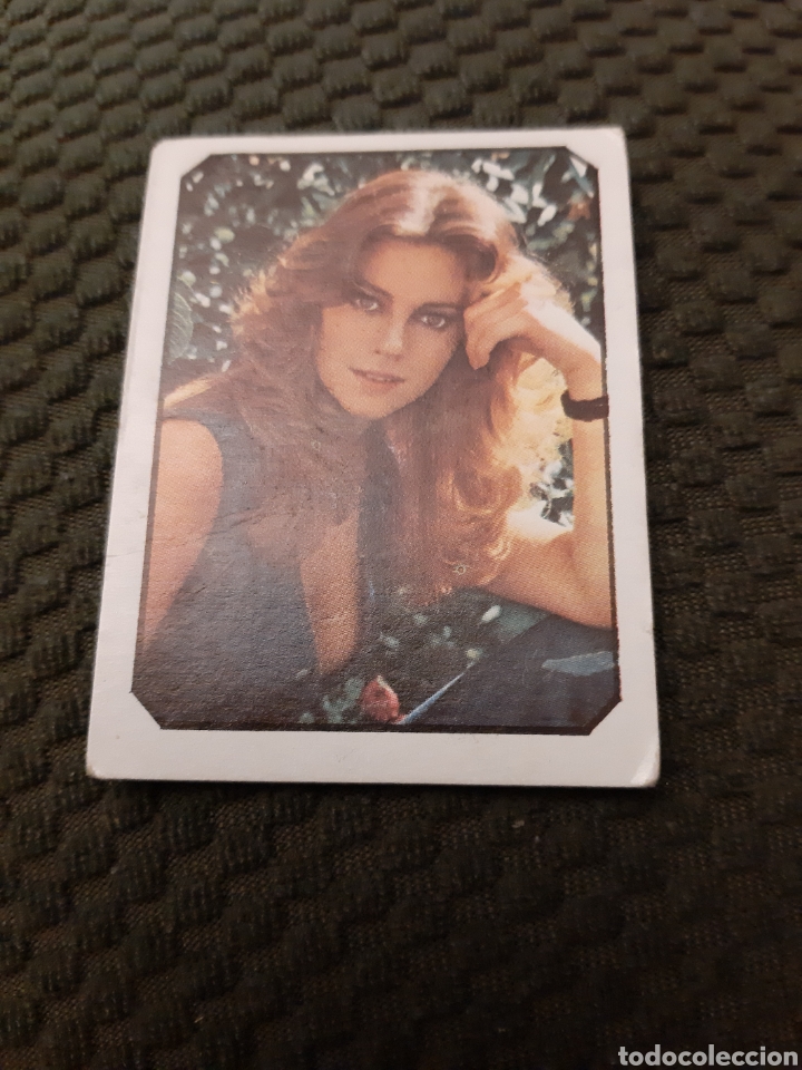 Collezionismo sportivo: EDICIONES ESTE FANS LINN FREDERICK NUEVO 174