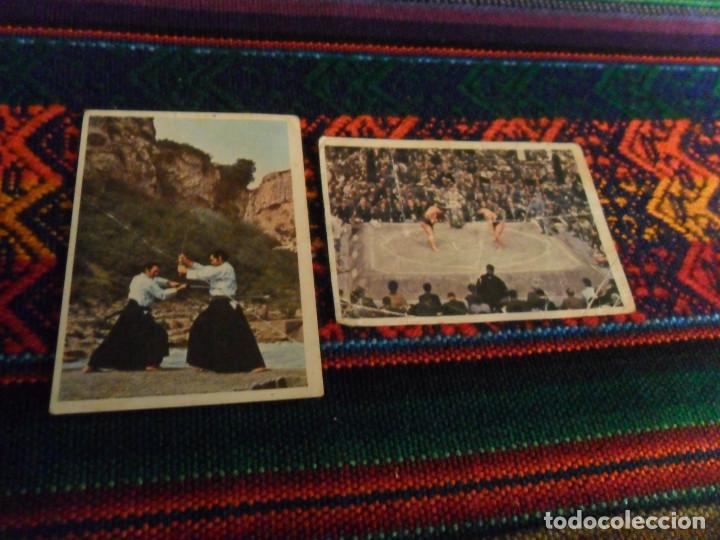 Collezionismo sportivo: CROMO NUNCA PEGADO ARTES MARCIALES N&ordm;S 17 Y 117. FHER 1976. RAROS.