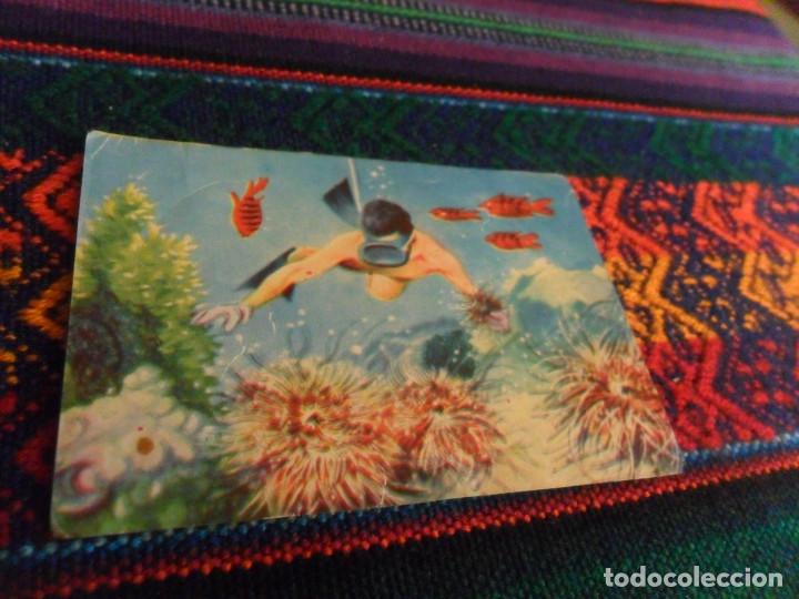 Collezionismo sportivo: CROMO NUNCA PEGADO CONQUISTAS Y MISTERIOS DEL MAR N&ordm; 45. FERMA 1962. BUEN ESTADO Y RARO.