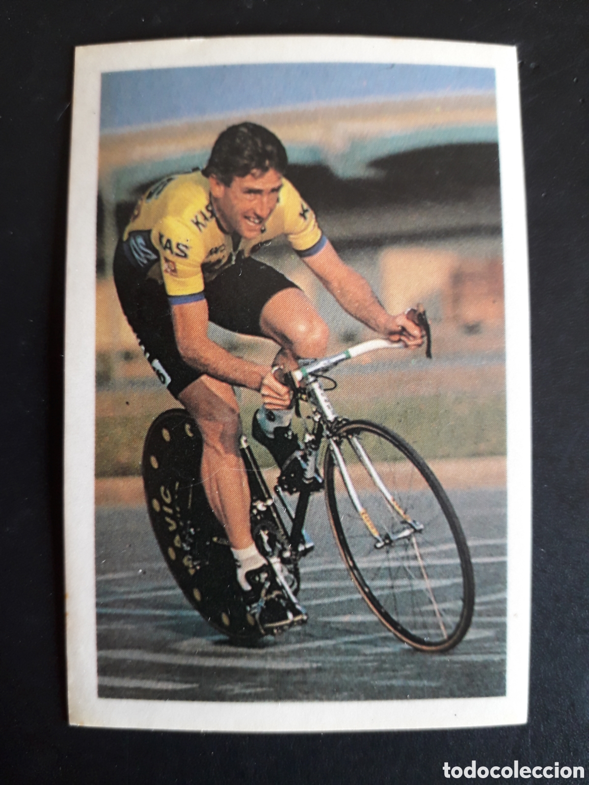 Coleccionismo deportivo: SEAN KELLY, KAS, ASES DEL CICLISMO, FHER 1988 N&deg; 37 SIN PEGAR, PEDIDO M&Iacute;NIMO 3&euro;