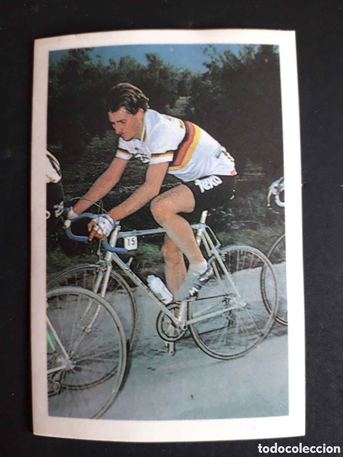 Coleccionismo deportivo: PETER HILSE, TEKA, ASES DEL CICLISMO, FHER 1988 N&deg; 139 SIN PEGAR, PEDIDO M&Iacute;NIMO 3&euro;