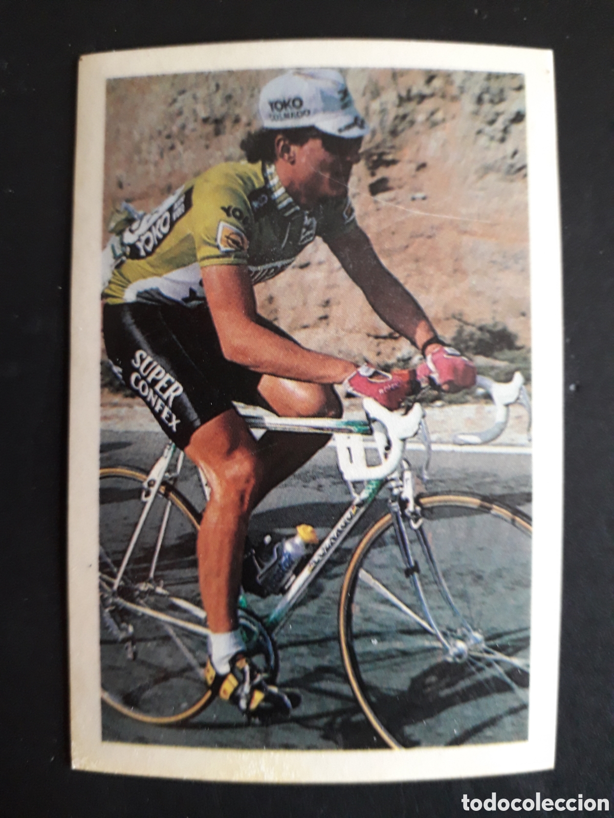 Coleccionismo deportivo: ROLF GOLZ, SUPERCONFEX, ASES DEL CICLISMO, FHER 1988 N&deg; 46 SIN PEGAR, PEDIDO M&Iacute;NIMO 3&euro;