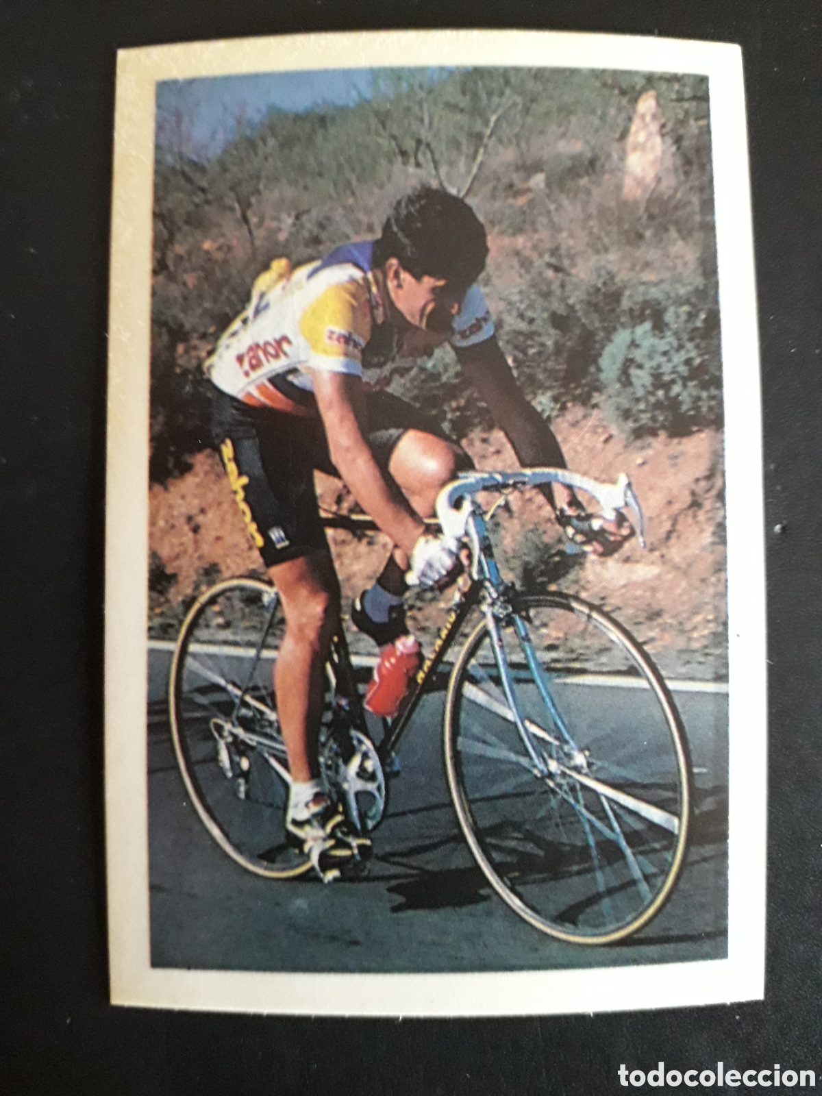 Coleccionismo deportivo: JUAN FERN&Aacute;NDEZ, ZAHOR, ASES DEL CICLISMO, FHER 1988 N&deg; 49 SIN PEGAR, PEDIDO M&Iacute;NIMO 3&euro;