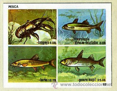 Sammelleidenschaft Sport: CROMO CONTAMOS CONTIGO / ED. COLED 1968 - N&ordm; 69 pesca / cangrejo peces - DEPORTES - PEGADO EN ALBUM