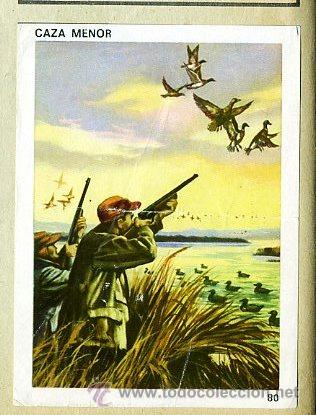 Sammelleidenschaft Sport: CROMO CONTAMOS CONTIGO / ED. COLED 1968 - N&ordm; 80 CAZA / armas pato aves - DEPORTES - PEGADO EN ALBUM