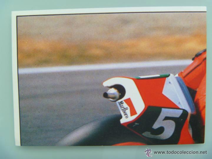 Coleccionismo deportivo: SOLO MOTO , PEGATINA DE PANINI . N&ordm; 196