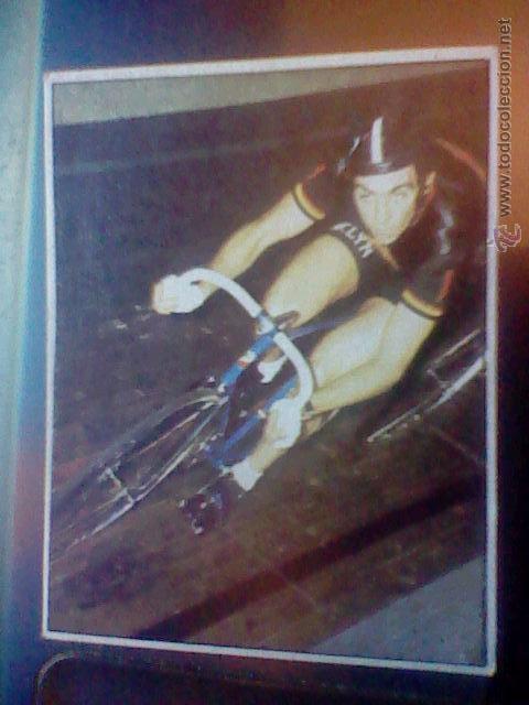 Coleccionismo deportivo: cromo sin pegar nunca chocolates hueso ciclismo merchante 1984 n&ordm; 202 patrick sercu