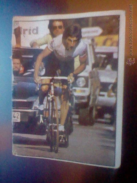 Coleccionismo deportivo: cromo recuperado chocolates hueso ciclismo merchante 1984 n&ordm; 117 lejarreta sobado