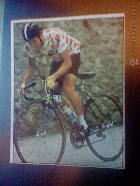 Coleccionismo deportivo: cromo recuperado chocolates hueso ciclismo merchante 1984 n&ordm; 34 jimenez teka