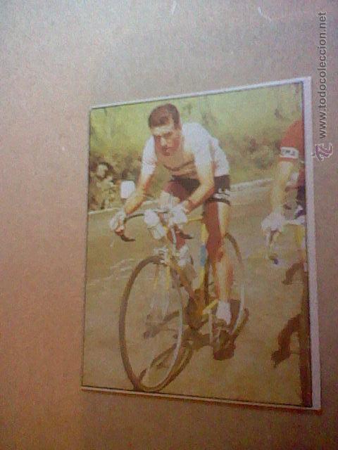 Coleccionismo deportivo: cromo SIN PEGAR NUNCA chocolates hueso ciclismo merchante 1984 n&ordm; 184 louison