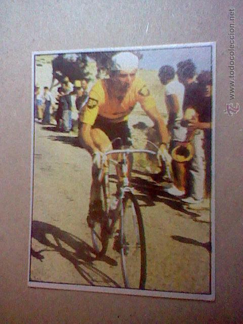 Coleccionismo deportivo: cromo SIN PEGAR NUNCA chocolates hueso ciclismo merchante 1984 n&ordm; 191 pingeon