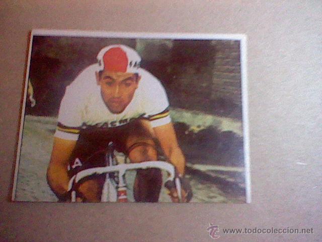 Coleccionismo deportivo: cromo SIN PEGAR NUNCA chocolates hueso ciclismo merchante 1984 n&ordm; 215 merckx