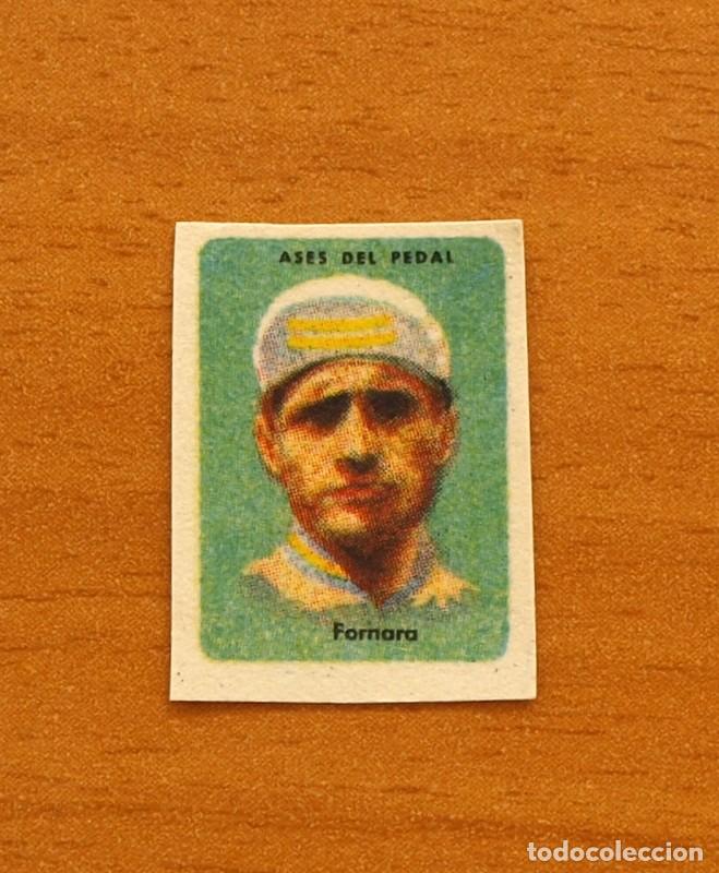 Coleccionismo deportivo: Ciclismo - Pasquale Fornara - Ases del pedal - A&ntilde;os 50 - Nunca pegado