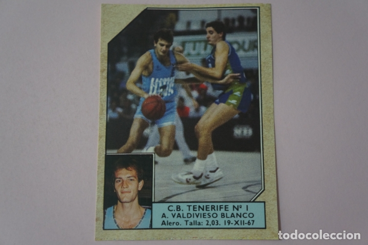 Collezionismo sportivo: CROMO DE BALONCESTO VALDIVIESO BLANCO DEL C.B. TENERIFE N&ordm; 1 N&ordm; 186 LIGA ACB 89 DE J.MERCHANTE