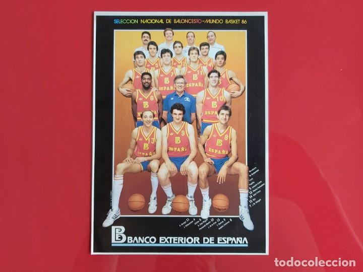 Collezionismo sportivo: PEGATINA SELECCION NACIONAL DE BALONCESTO-MUNDO BASKET 86 BANCO EXTERIOR DE ESPA&Ntilde;A