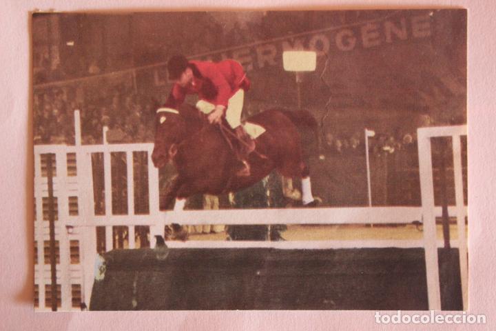 Coleccionismo deportivo: CROMO DE HIPICA EDUARDO AMOROS DESPEGADO N&ordm; 65 A&Ntilde;O 1968 DE ALBUM JUEGOS OLIMPICOS DE DIDEC