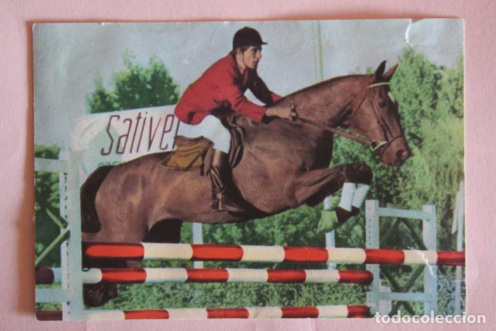 Coleccionismo deportivo: CROMO DE HIPICA ROSILLO DESPEGADO N&ordm; 71 A&Ntilde;O 1968 DE ALBUM JUEGOS OLIMPICOS DE DIDEC