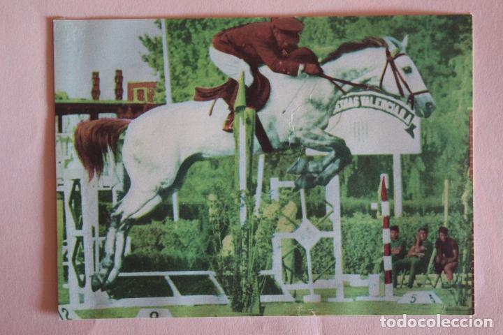 Coleccionismo deportivo: CROMO DE HIPICA CAPITAN SANTAPAU DESPEGADO N&ordm; 73 A&Ntilde;O 1968 DE ALBUM JUEGOS OLIMPICOS DE DIDEC