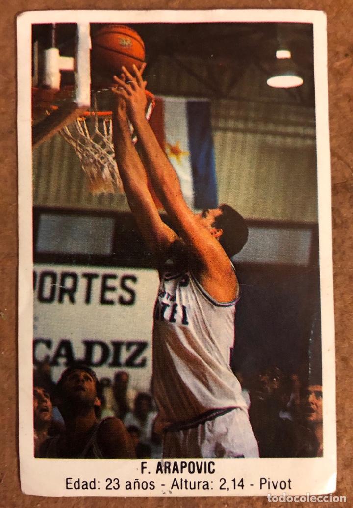 Sammelleidenschaft Sport: F. ARAPOVIC (CIBONA ZAGREB). CROMO N&deg; 126 COLECCI&Oacute;N BALONCESTO 87/88. CONVERSE. NUNCA PEGADO