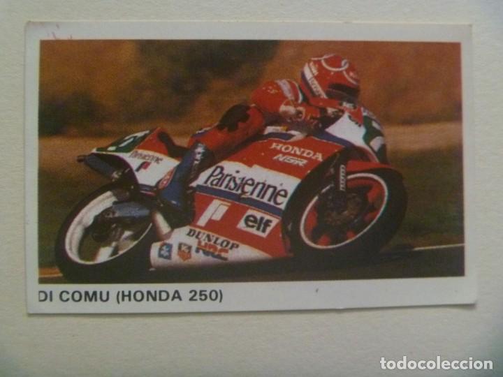 Coleccionismo deportivo: PEGATINA DE MOTOCICLISMO : N&ordm; 75 DI COMU ( HONDA 250 ) . A&Ntilde;OS 80