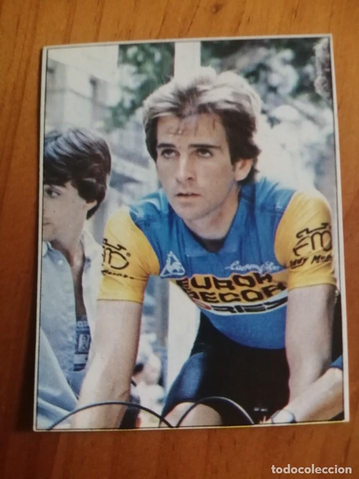Coleccionismo deportivo: CICLISMO A&Ntilde;OS 80 - CROMO N&ordm; 125 - M. SERGEANT (B&Eacute;LGICA).