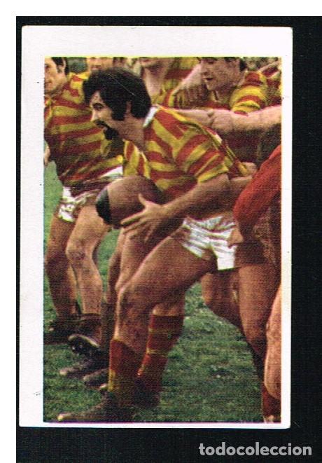 Collezionismo sportivo: ETOILES DU RUGBY EN ACTION 1972/1973 - CROMO N&ordm; 204 - MICHEL PREPELICA - PANINI - NUNCA PEGADO