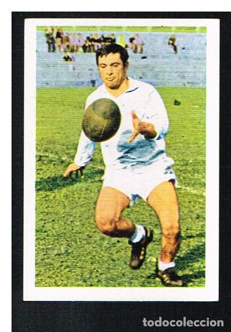 Collezionismo sportivo: ETOILES DU RUGBY EN ACTION 1972/1973 - CROMO N&ordm; 213 - JEAN PIERRE CAVALLI - PANINI - NUNCA PEGADO